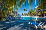 pool surrounded by greenery and sun loungers