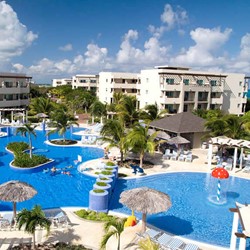 aerial view of the pool surrounded by palm trees