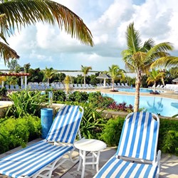 pool surrounded by sun loungers and palm trees