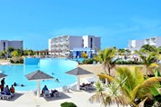 pool surrounded by palm trees and sun loungers