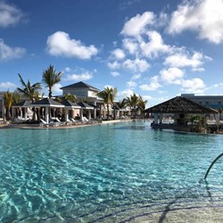 large pool surrounded by palm trees