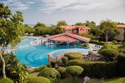 pool with plants around and snack bar