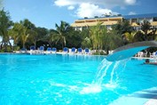 pool surrounded by sun loungers and palm trees