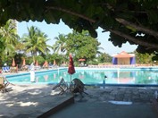 pool surrounded by palm trees and sun loungers