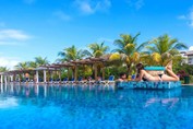 pool surrounded by palm trees and sun loungers