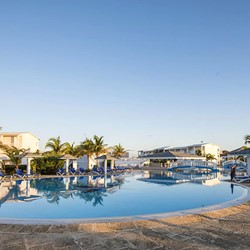pool surrounded by sun loungers and palm trees