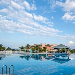 pool surrounded by palm trees and blue loungers