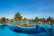 pool surrounded by palm trees