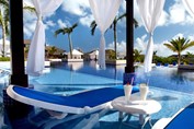 pool with palm trees and loungers around