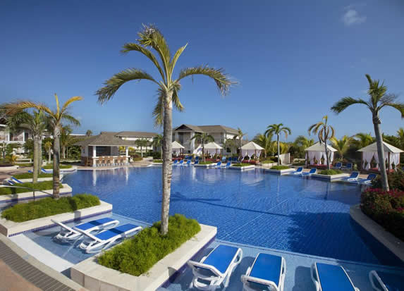 piscina con palmeras y tumbonas alrededor