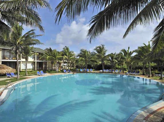 piscina rodeada de palmeras y tumbonas azules