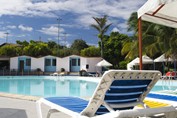 Pool surrounded by palm trees and loungers