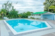 pool surrounded by greenery