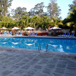 pool surrounded by sun loungers and parasols