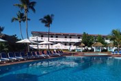 Pool surrounded by sun loungers and palm trees