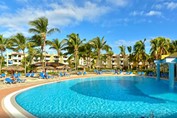 pool surrounded by palm trees and sun loungers