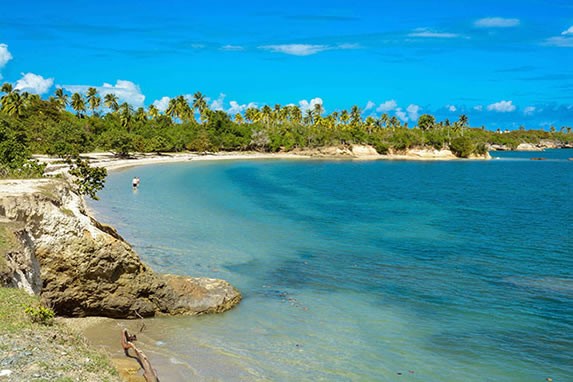 playa con rocas y abundante vegetación