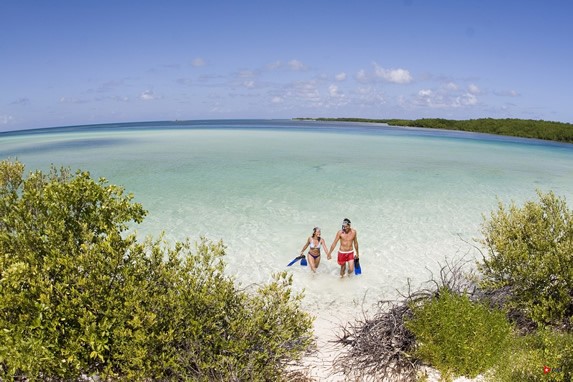 Diving on the beaches of Cayo Santa Maria