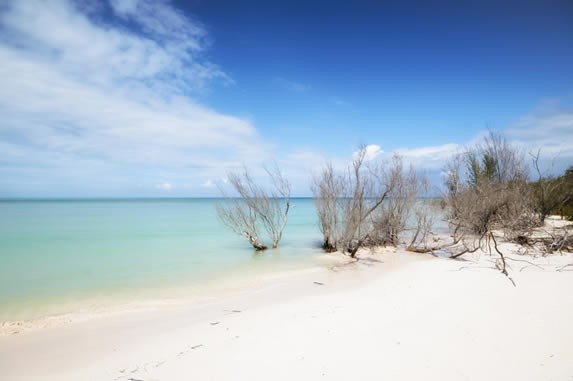 Beaches in Cayo Jutias