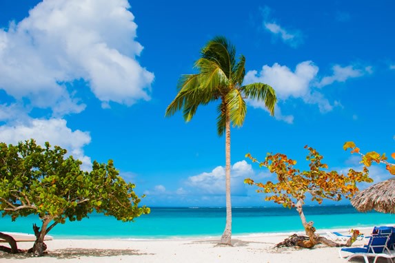 beach with guano umbrellas and sunbeds