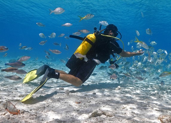 buzo rodeado de peces en el océano