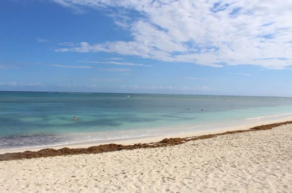 beach with blue sea and golden sands