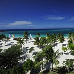 aerial view of the beach surrounded by palm trees