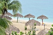 playa rodeada de sombrillas de guano y palmeras