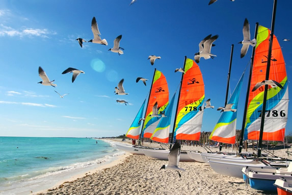 beach with seagulls and catamarans