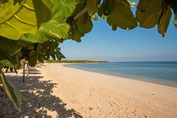 deserted beach with golden sands and vegetation
