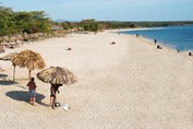 turistas en la playa bajo sombrillas de guano