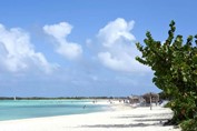 white sand beach and blue waters