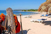 playa con tumbonas y sombrillas de guano