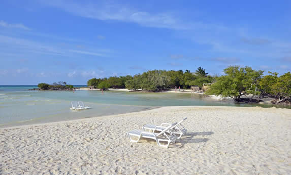 beach with sun loungers and golden sands
