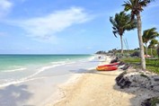 playa con palmeras y vegetación