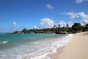 deserted golden sand beach with greenery