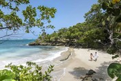 golden sand beach and abundant vegetation