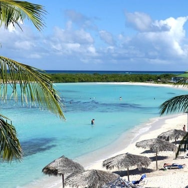 beach with vegetation and guano umbrellas