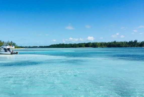 boat in the blue sea and vegetation on the shore