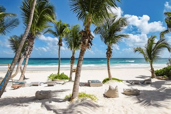 Palm trees on the beaches of Tulum