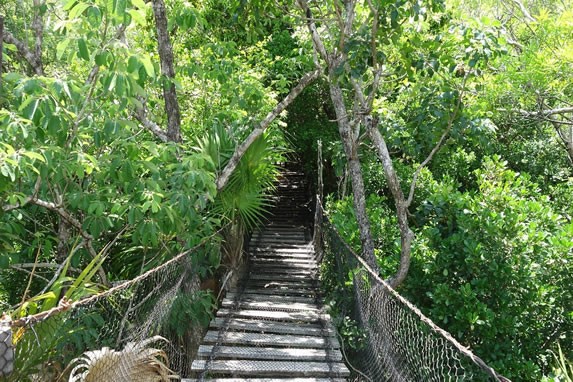 Puente en el jardín botánico 
