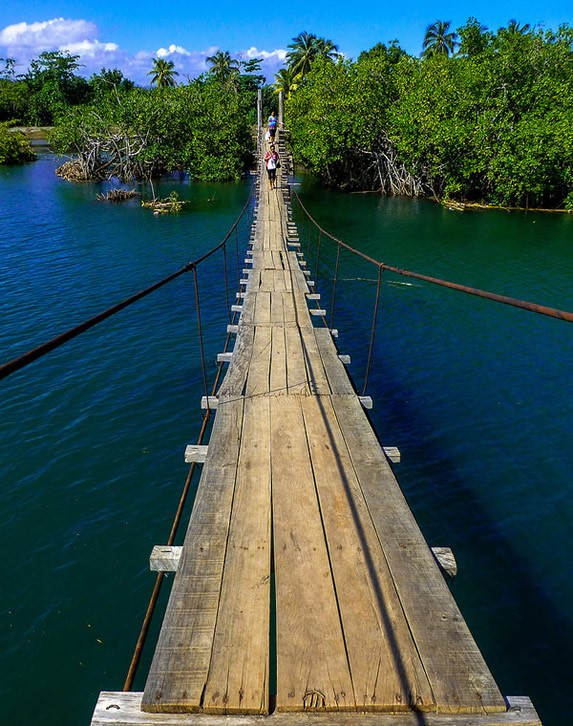 wooden bridge over the water and vegetation