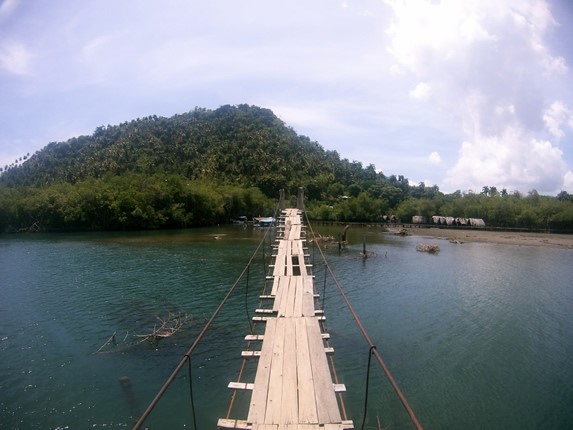 wooden bridge over the water and vegetation