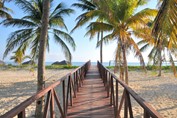 wooden bridge on the way to the beach