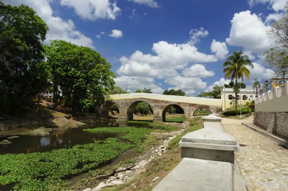 puente de cemento rodeado de árboles