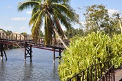 bridge system above the lagoon