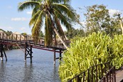 sistema de puentes  por encima de la laguna