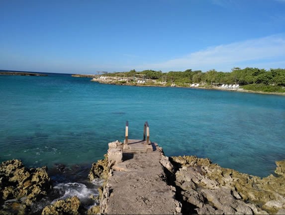 blue sea with rocky shore and vegetation