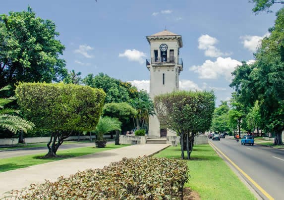 paseo con vegetación alrededor y torre de reloj