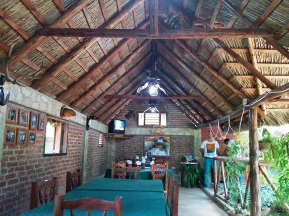 wooden furniture under guano roof